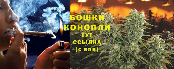 дживик Вязьма