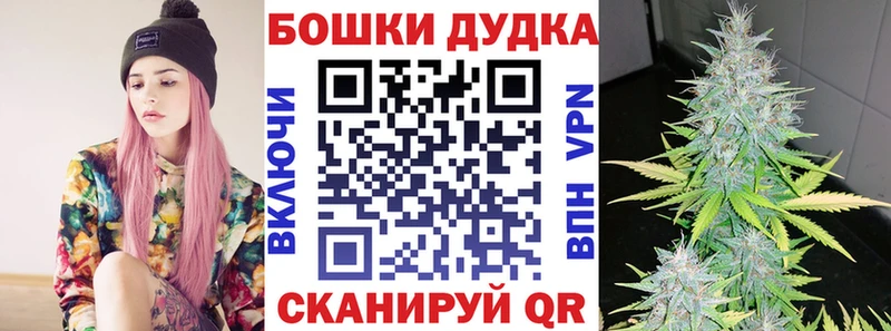 как найти   kraken сайт  Канабис сатива  Коломна 